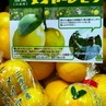 国産メイヤーレモン