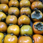 コラム「シャロンフルーツ　＝　柿？」のサムネイル画像