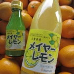 コラム「メイヤーレモンの果汁」のサムネイル画像