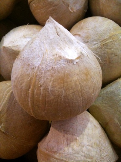 coconut.JPG
