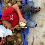コラム「ココナッツが簡単に飲めるよ！」のサムネイル画像