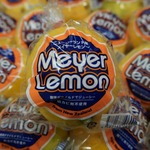 コラム「美味しいレモン、メイヤー！」のサムネイル画像