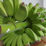 マツコーチャンネル「バナナの呼び名」のサムネイル画像