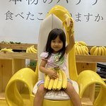 コラム「本物のバナナ、食べたことありますか？」のサムネイル画像