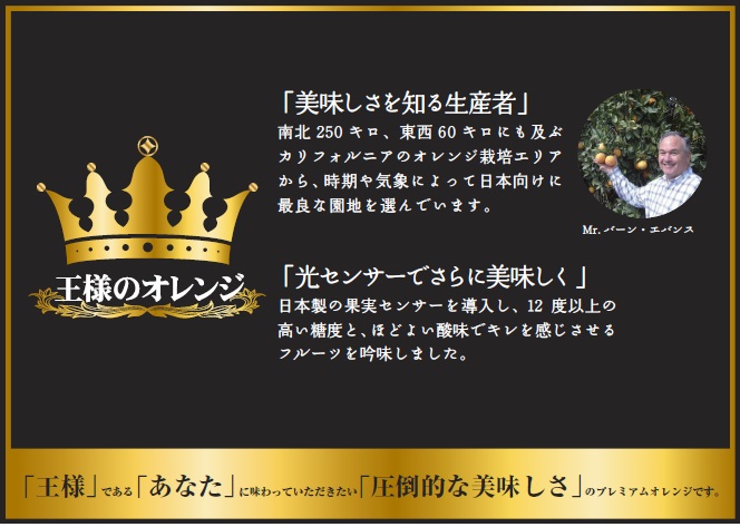 フルーツ情報「『王様のオレンジ』」 :: 株式会社 松孝