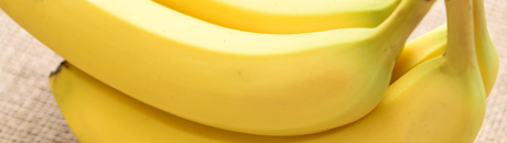 貴重な有機栽培バナナ