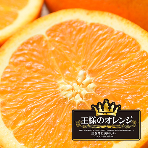 松孝の逸品フルーツ「王様のオレンジ」 :: 株式会社 松孝 