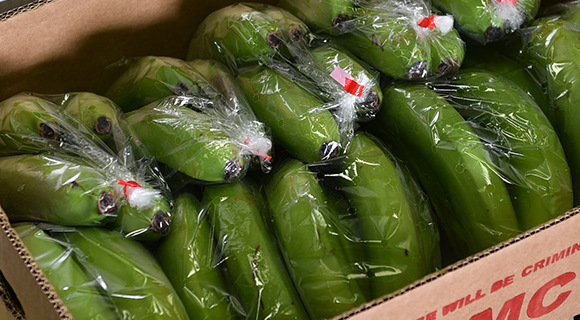 日本一の追熟 株式会社 松孝